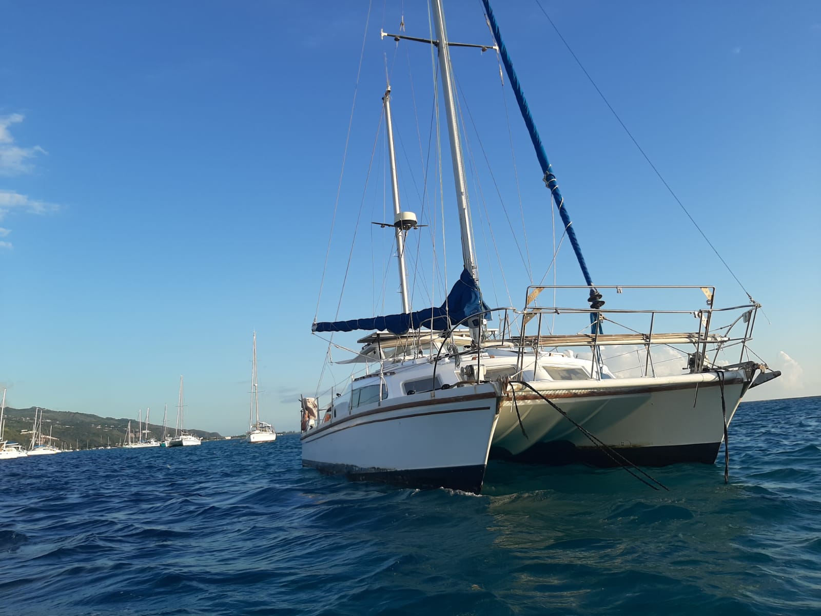 solaris 42 catamaran for sale
